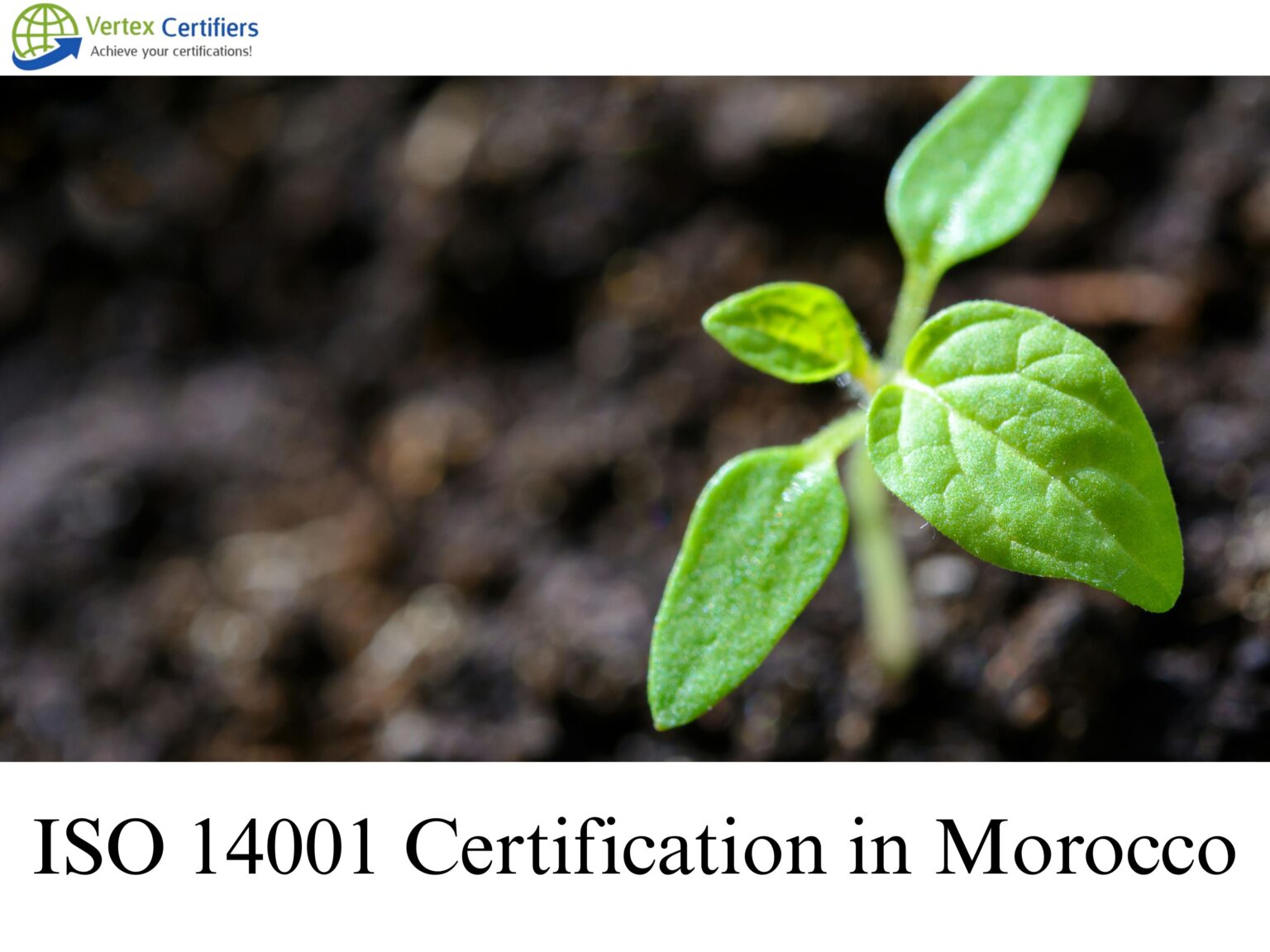 ISO 14001 Certification in Morocco